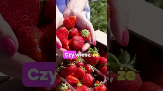 Czy wiesz, że truskawki 🍓 ... ❓️ #strawberry #shortvideo