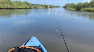 Ormond Beach/Daytona Beach Florida Inshore Kayak Fishing with a 2019 Hobie Compass