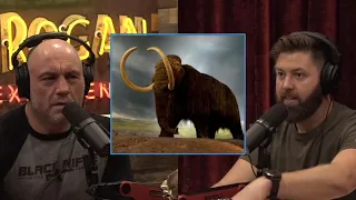 Joe Rogan: Will There Ever EXIST Real MAMMOTH'S AGAIN & Will There be a "Jurassic Park" to SEE THEM!