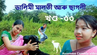 Dalimi Maloti & Boka Kumura খণ্ড-৩৩ | Assamese comedy video | Assamese funny video