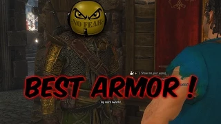 The Witcher 3 Best Armor