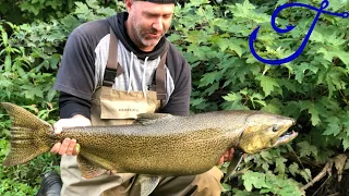BOBBER DOWN! King Salmon Fishing in the River