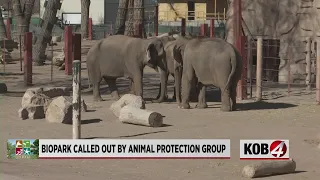 ABQ BioPark named one of the worst zoos for elephants in the nation