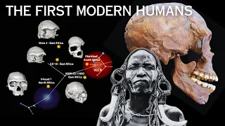 New Fossil Discovery in Africa Just Rewrote Human History