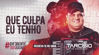 QUE CULPA EU TENHO - Tarcísio do Acordeon - CD Diferente dos Iguais 2021