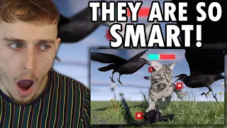 Reacting to Are Crows OP?