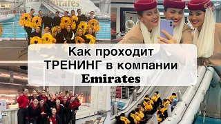 Как прошли мои 2 месяца тренинга в компании Emirates. Делюсь всей информацией