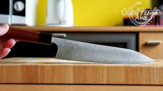 How to choose a Gyuto knife - Japanese Chef's knife - Wa-gyuto
