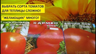 Томаты для теплицы. Какие сорта томатов выбрать для посадки в теплицу?