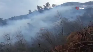 İskenderun’da Orman Yangını Hatayinternettv.com