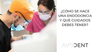 ¿Qué cuidados debes seguir tras una endodoncia? | Dra. Claudia Sinohui - Clínica dental Avodent