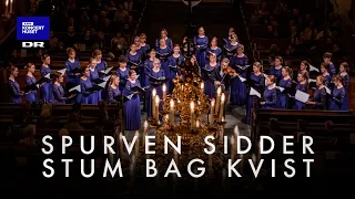 Spurven sidder stum bag kvist // DR Pigekoret (LIVE)