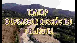 город Талгар , Форелевое хозяйство # 7.