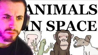 Animals in Space: A Brief History - Sam Onella Reaction