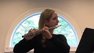 Mozart G Major Flute Concerto- Exposition and Development