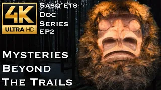 Best Bigfoot Documentary Channel | Living With Sasquatch Film | Missing 411