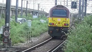 Trains at Ashford International 29/05/2024