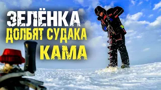 Как долбят судака на Зелёнке река Кама 2022. Вечерний выход.