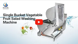 Efficient Vegetable Washing Machine for Small Farm or Factory