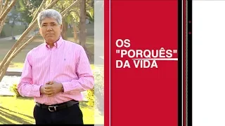 Os Porquês da Vida / Hernandes Dias Lopes / Da Letra a Palavra 134