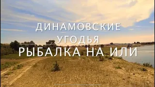 Рыбалка на Или недалеко от Алматы / Показываем девайсы для рыбалки / сазан / карась