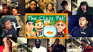SML Movie: The Class Pet! Reactions Mashup