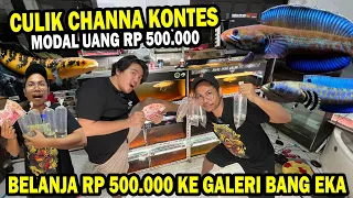 MODAL 500.000!! HUNTING DI GALERI BANG EKA DAPET CHANNA APA?