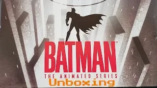 Batman Animated Series Unboxing