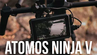 Atomos Ninja V. Хорошо, дорого и не для всех.