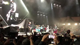 Nirvana Reunion 2018 Breed