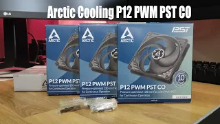 ARCTIC Cooling P120 PWM PST CO Вентилятор