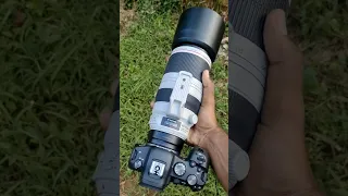 canon 100-400mm is ii#shorts #shortvideo #shortsviral #short