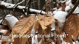 Backpacking Hoosier National Forest /Jan 12,2019/Indiana backpacking