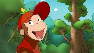 Sprout Adventure 🐵 Curious George 🐵 Kids Cartoon 🐵 Kids Movies