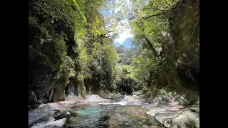 夢幻卡社溪, 終於釣到夢想的郵票