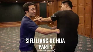 The 5 Fists of Yang Style Taiji Quan (Part 1) | Sifu Liang De Hua | Season 2 Episode 05