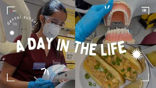 Day In the Life of a Dental Student | D1 at Maryland