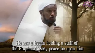 Sh xuseen cali jabuuti • qiso ama sheeko yaab leh. Nabi muuse Marka uu nabi shuceyb ariga udajinayey