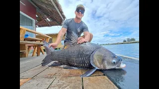 Fishing Thailand Mekong Catfish and Siamese Carp- BKKGUY