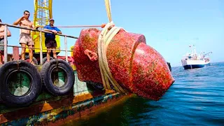 Pescador Afortunado Atrapó Algo Increíble