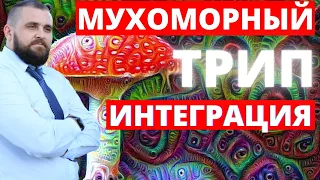 Мухоморный трип интеграция| Как использовать мухоморный трип| Трип польза