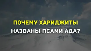 Почему хаваридж (хариджиты) названы псами ада? | Шейх Абу Яхья