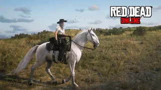 Показываю НОВЫХ КОНЯХ и рассуждаю об АНИМАЦИИ ЛОШАДЕЙ в RDO | RED DEAD ONLINE