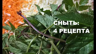 СНЫТЬ квашеная и маринованная: 4 рецепта