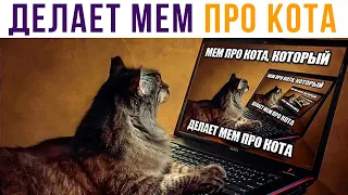 МЕМ ПРО КОТА, КОТОРЫЙ... Приколы | Мемозг #547