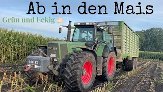 Farmvlog #337 | Kolben Killer