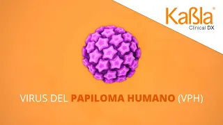 Kabla | Virus del Papiloma Humano (VPH) | INNOLiPA HPV Genotyping Extra II