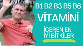 B1 VİTAMİNİ B2 VİTAMİNİ  B3 VİTAMİNİ  B5 VİTAMİNİ B6 VİTAMİNİ NELERDE VAR NE İŞE YARAR