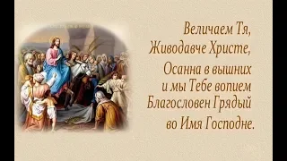 С ВЕРБНЫМ ВОСКРЕСЕНЬЕМ,  ДОРОГИЕ! ТРОПАРЬ И КОНДАК  ПРАЗДНИКА