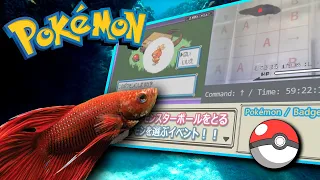 Ce Poisson a FINI Pokémon